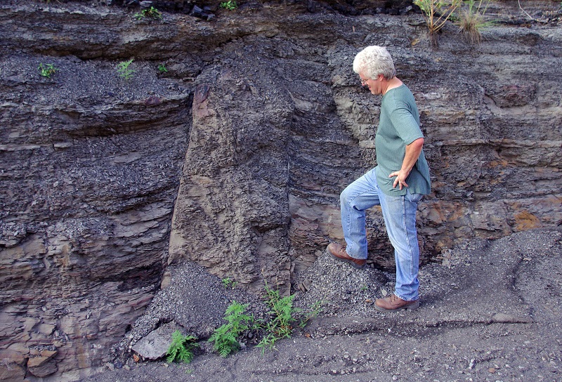 Upright (Standing) Fossil Tree Stumps, Fossils, Kentucky Geological